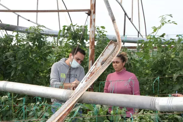 Selden etkilenen sera ve tarım arazilerinde hasar tespiti yapılıyor