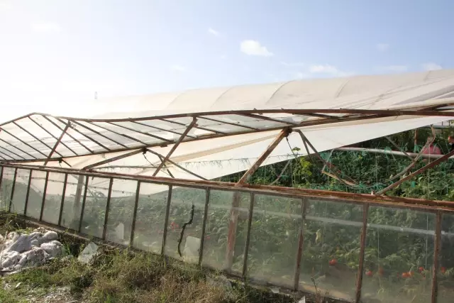 Selden etkilenen sera ve tarım arazilerinde hasar tespiti yapılıyor