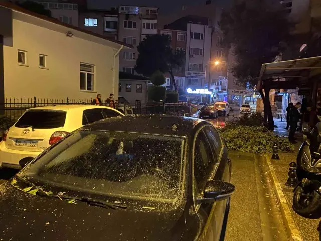 Balıkesir'de lodos yıktı, geçti