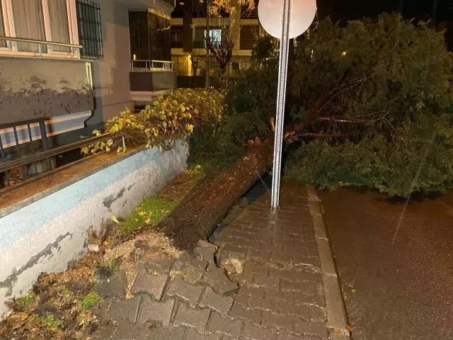 Balıkesir'de lodos yıktı, geçti