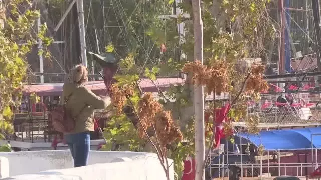 Bazı tatilciler dalgalara rağmen denize girdi