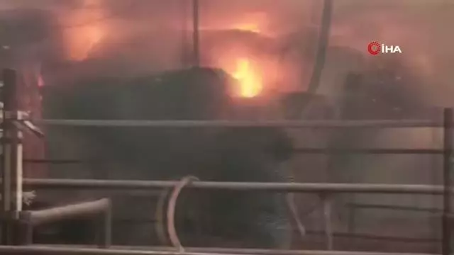 Son dakika haberleri | Besi çiftliğinde korkutan yangın...750 büyükbaş hayvan yanmaktan son anda kurtarıldı