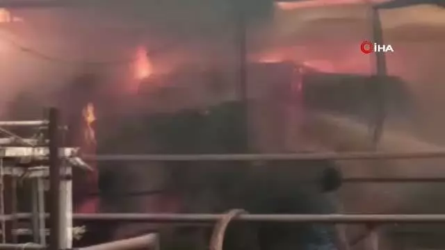 Son dakika haberleri | Besi çiftliğinde korkutan yangın...750 büyükbaş hayvan yanmaktan son anda kurtarıldı