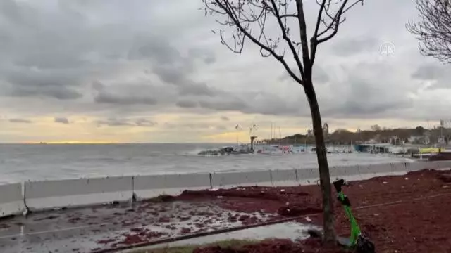 Dalgaların sahile taşıdığı yosunlar ekiplerce temizlendi