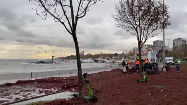Dalgaların sahile taşıdığı yosunlar ekiplerce temizlendi