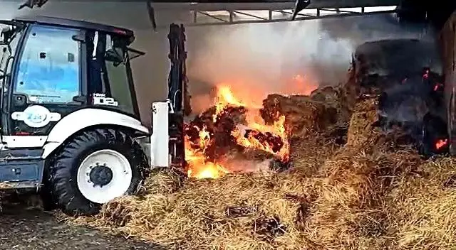 Son dakika haberleri | Besi çiftliğinde korkutan yangın...750 büyükbaş hayvan yanmaktan son anda kurtarıldı