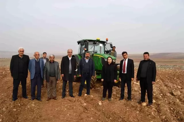 Kızılin'de lavanta yolu projesi hayata geçirildi