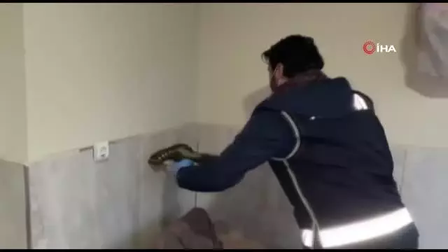 Sahte altın üreticilerine operasyon: 6 şüpheli yakalandı