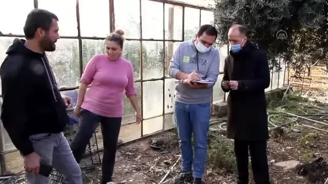 Selden etkilenen sera ve tarım arazilerinde hasar tespiti yapılıyor