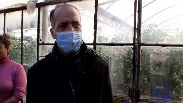 Selden etkilenen sera ve tarım arazilerinde hasar tespiti yapılıyor