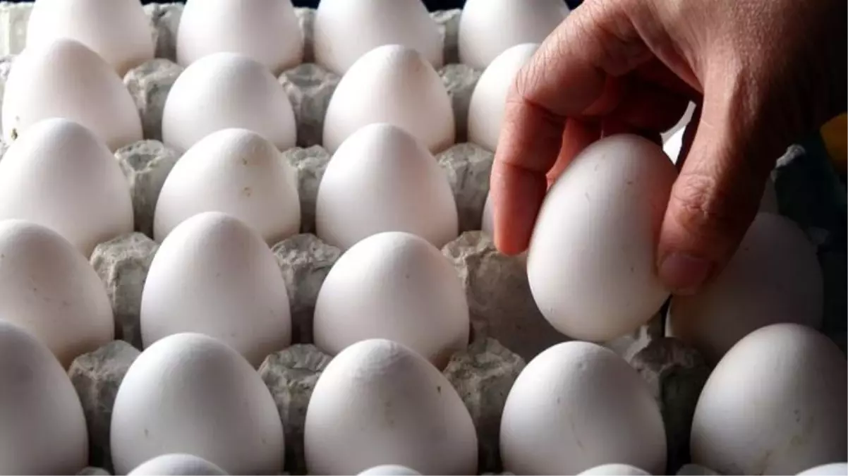 30'lu yumurtanın fiyatı 45 liraya yükseldi! Üreticiler zammın nedenini artan maliyetlere bağlıyor