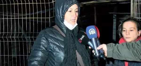 Ankara'da gönüllülerin inşa ettiği hayvan barınağında korkutan yangın