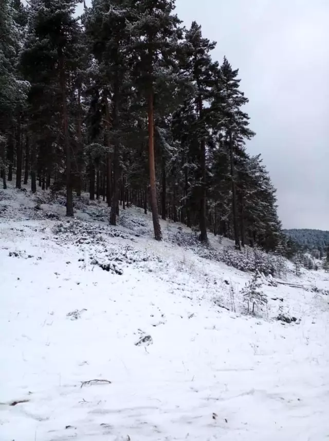 Bozüyük'te mevsimin ilk karı yağdı