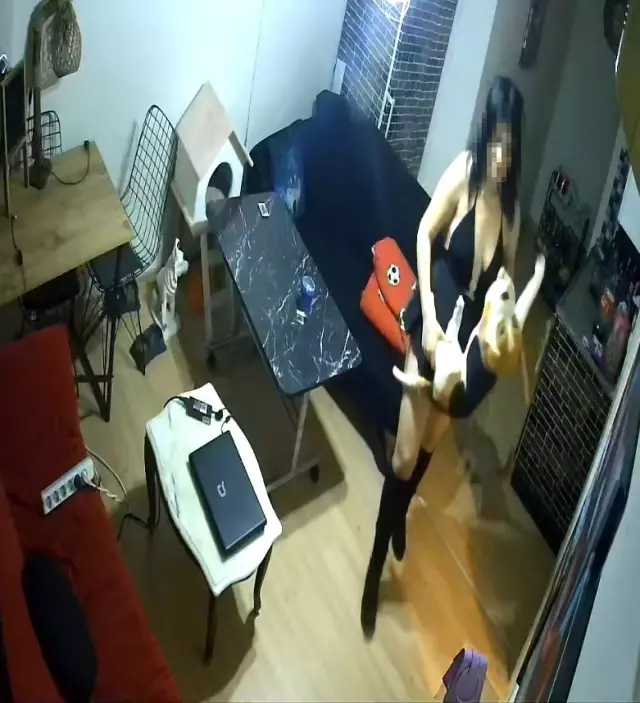 Çilingirle girdikleri evde ne var ne yok çalan dekolteli hırsızlar kamerada
