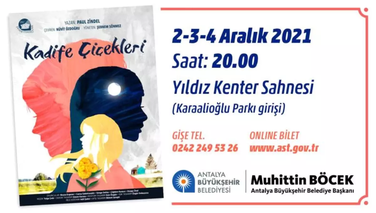 KADİFE ÇİÇEKLERİ