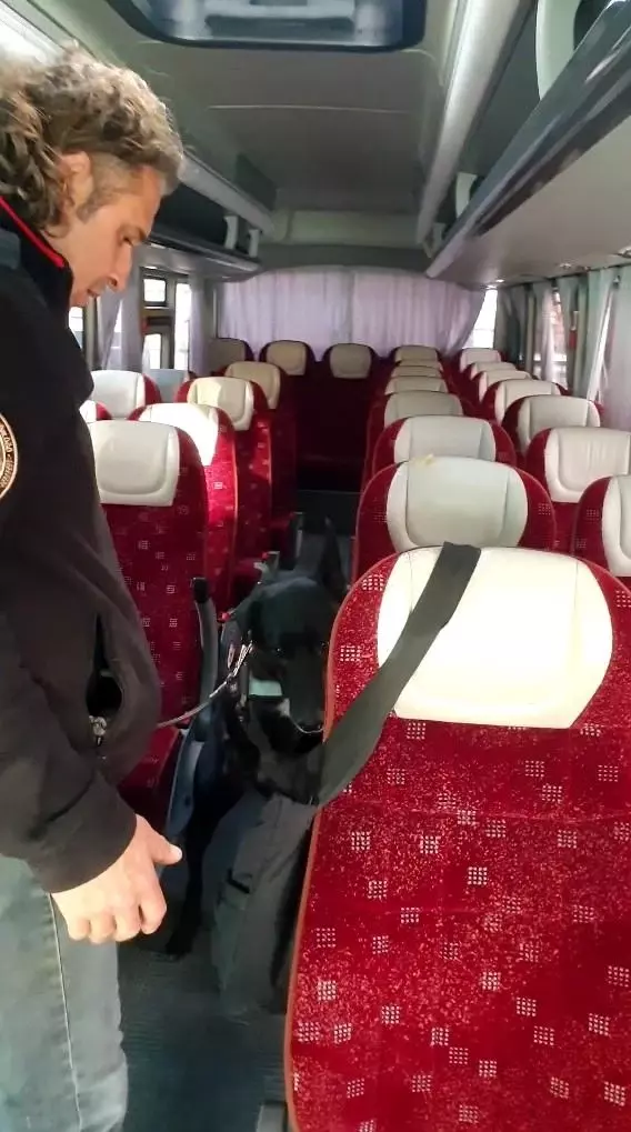 Narkotik köpeği uyuşturucuyu bulamasın diye sarımsakların arasına gizlediler