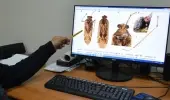 Mardin'de yeni bir böcek türü keşfedildi! Eski Tarım Bakanı İyriboz'un adını verdiler