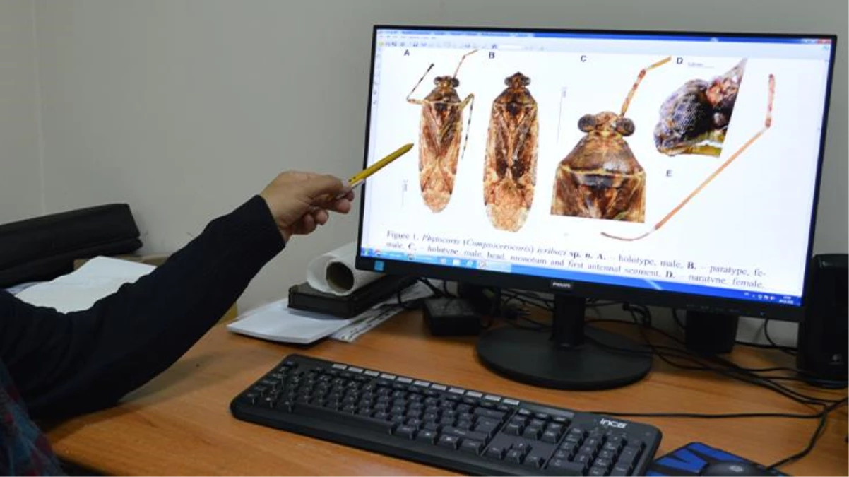 Mardin'de yeni bir böcek türü keşfedildi! Eski Tarım Bakanı İyriboz'un adını verdiler