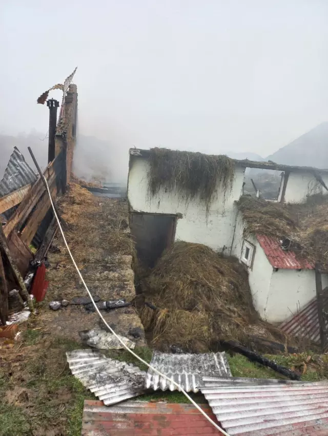 Son dakika haberleri... Ordu'da ahır yangınında 3 hayvan telef oldu