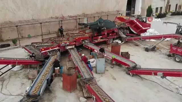 Patatesler, talebe göre iç ve dış piyasaya sevk ediliyor