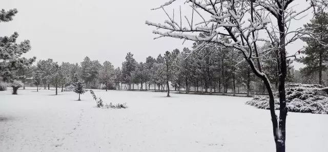 Kar yağışı etkili oldu (2)