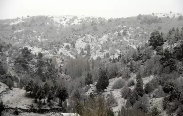 Kar yağışı etkili oldu (2)
