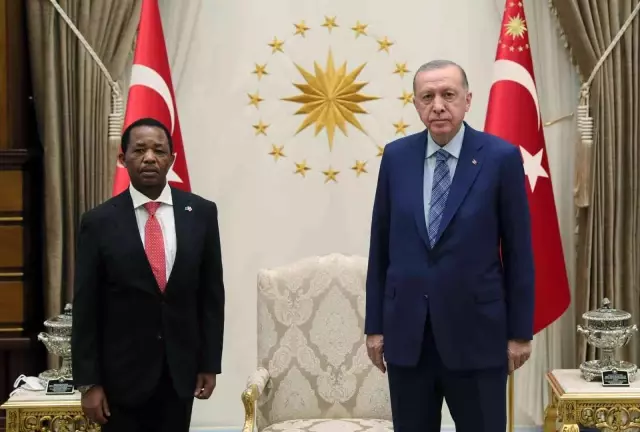 Tanzanya'nın Ankara Büyükelçisi Mohamed, Cumhurbaşkanı Erdoğan'a güven mektubu sundu