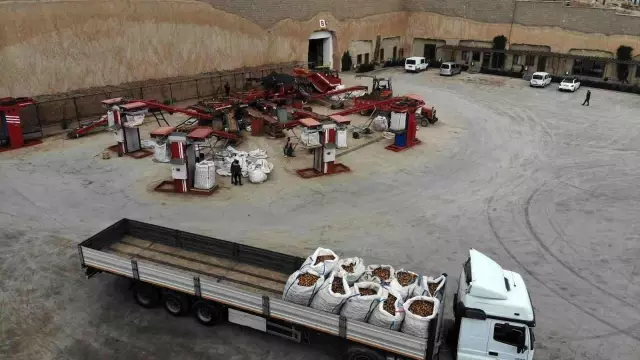 Patatesler, talebe göre iç ve dış piyasaya sevk ediliyor