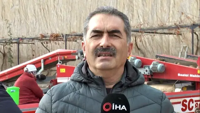 Patatesler, talebe göre iç ve dış piyasaya sevk ediliyor