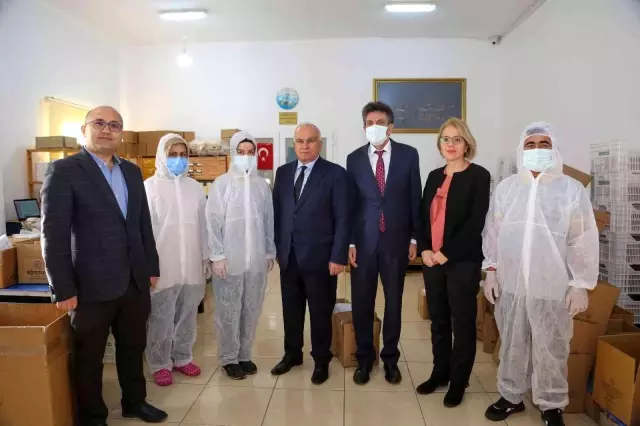 Torosların balı Avrupa yolunda