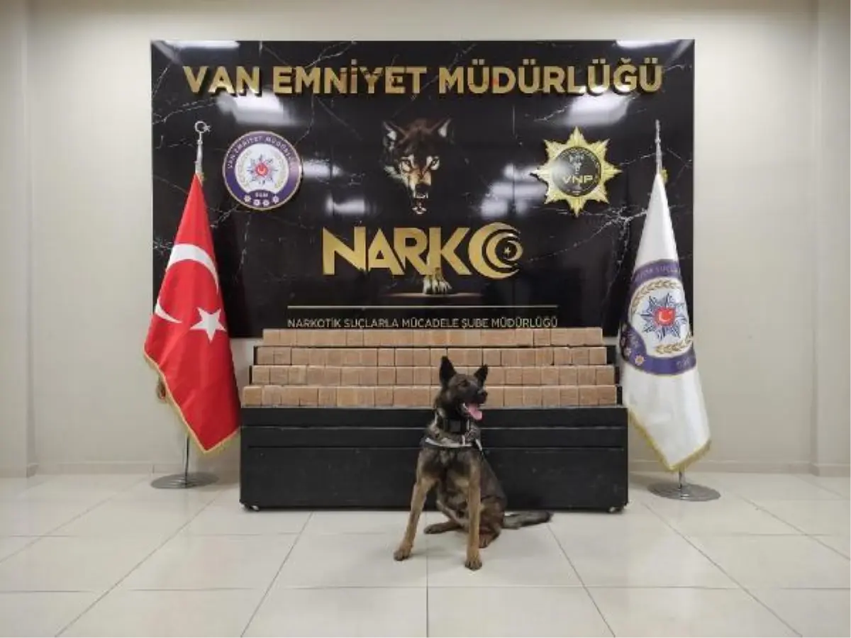 Van'da evdeki 40 kilo eroini 'Juno' buldu