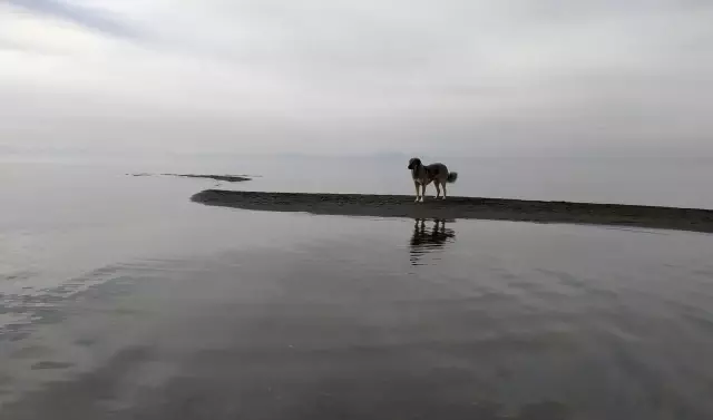 Van Gölü'nün üzerinden yürüdüler