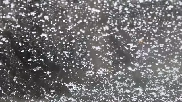 Yoğun kar yağışı etkili oluyor