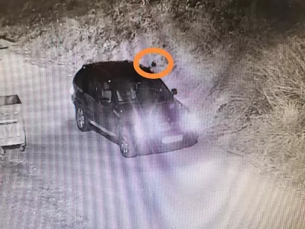 Son dakika haber: Avcılar'da otelci çifti öldüren katiller kamerada