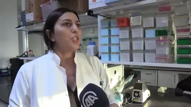 Bağırsaktaki bakteriler yapay zekayla incelenip kişiye özel diyet belirleniyor