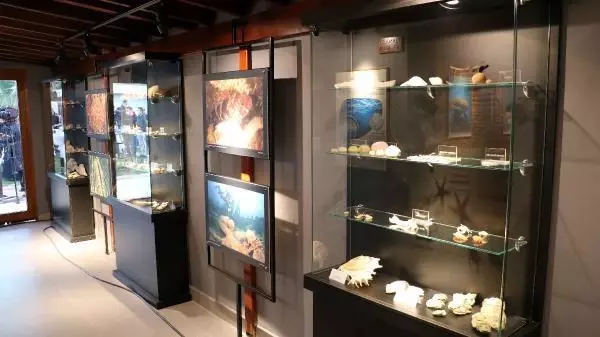 'ÇANAKKALE KARİNA DENİZ KÜLTÜRÜ MERKEZİ' AÇILDI