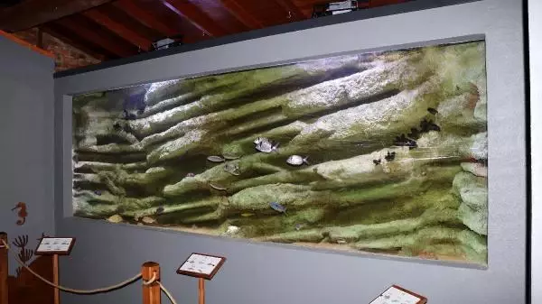 'ÇANAKKALE KARİNA DENİZ KÜLTÜRÜ MERKEZİ' AÇILDI