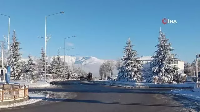 Erzurum buz kesti, gece eksi 14'ü, gündüz eksi 8'i gördü