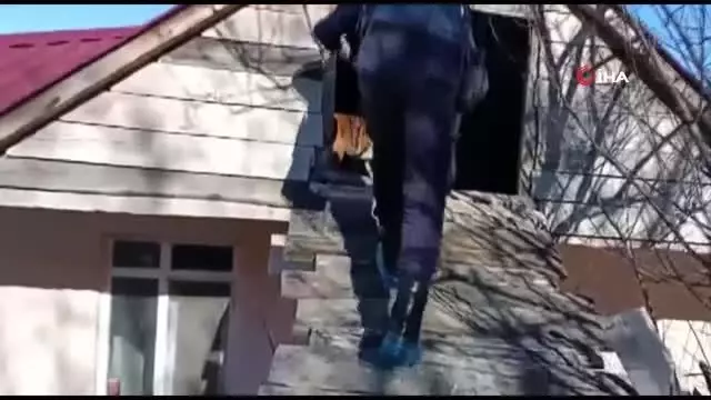 Evin çatı altına gizlenmiş uyuşturucuyu narkotik köpeği buldu