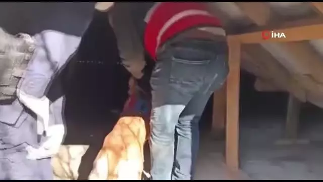 Evin çatı altına gizlenmiş uyuşturucuyu narkotik köpeği buldu