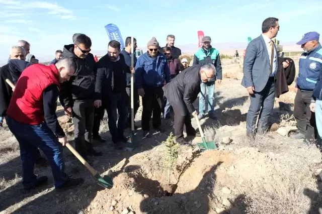 Kayseri Ulaşım AŞ, 3 bin fidanı toprakla buluşturdu