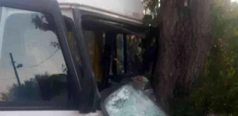 Okul servisi ağaca çarptı: 8 yaralı