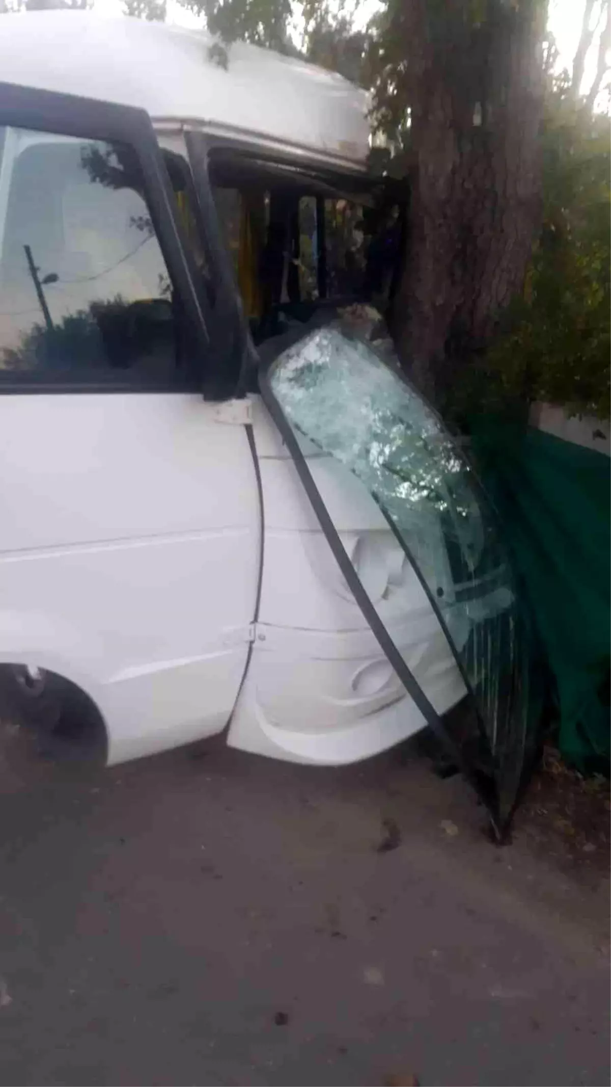 Okul servisi ağaca çarptı: 8 yaralı