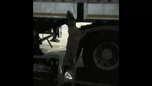 Palet takozlarına zulalanan eroini narkotik köpeği 'Millov' buldu