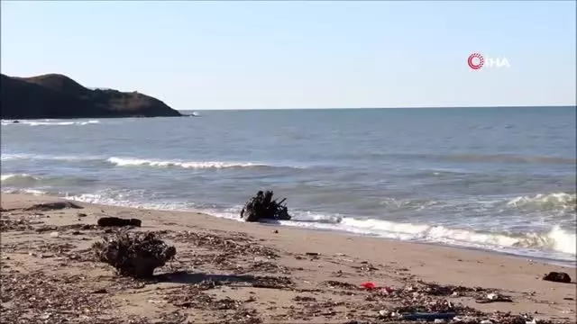 Sinop'ta sahile ceset vurdu