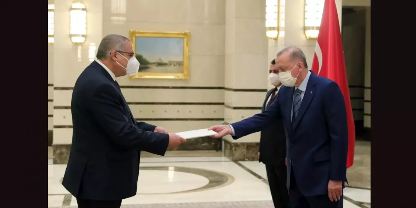 Tanzanya, Güney Afrika Cumhuriyeti ve Cezayir'in Ankara Büyükelçileri, Cumhurbaşkanı Erdoğan'a güven mektubu sundu