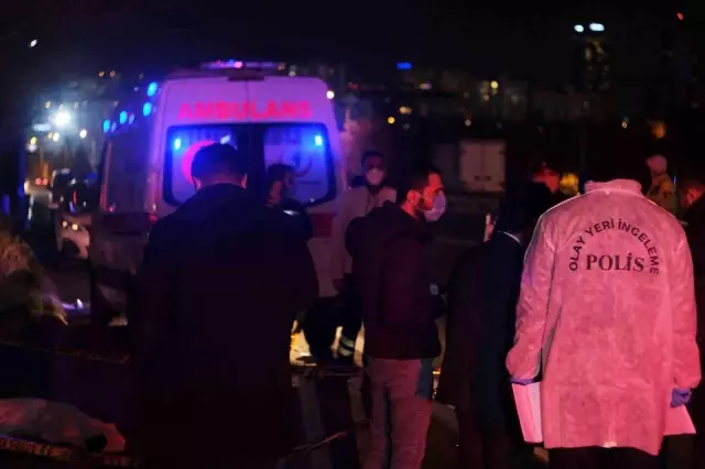TEM Otoyolu'nda yolun karşısına geçmek isteyince canından oldu