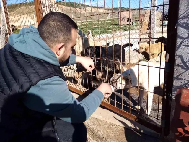 Türkiye'nin en iyi kuaförü sokak hayvanlarına can oluyor