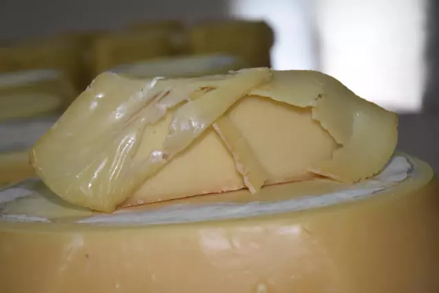 Unutulmaya yüz tutan çoban peyniri ni yeniden üretip sofralara taşıdı