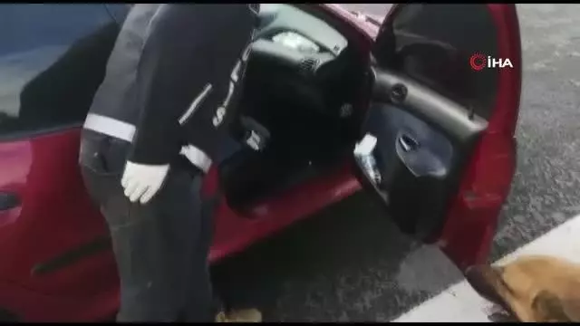 Uyuşturucu sevkiyatı narkotik köpeği 'Dino'ya takıldı